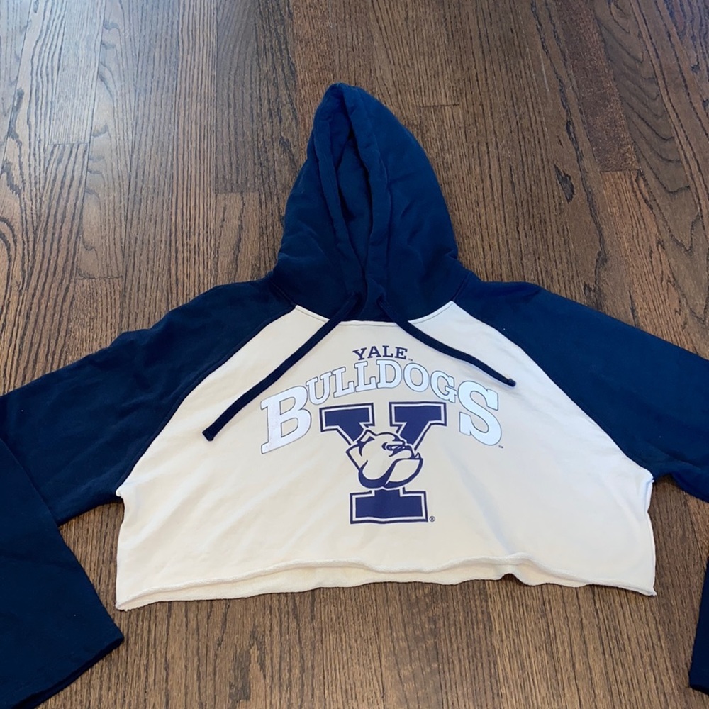 Zara Yale University Cropped Distressed Hoodie